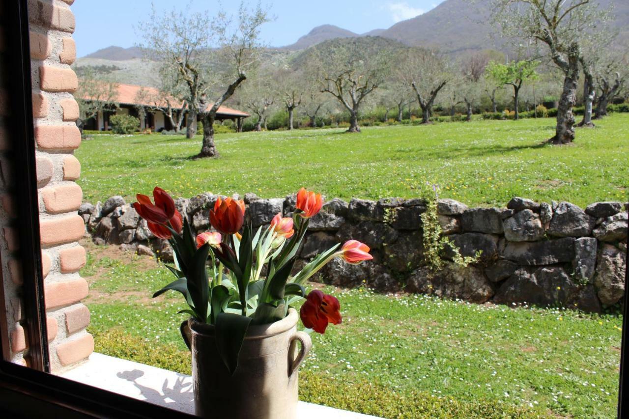 Agriturismo Il Castagneto Padula Luaran gambar
