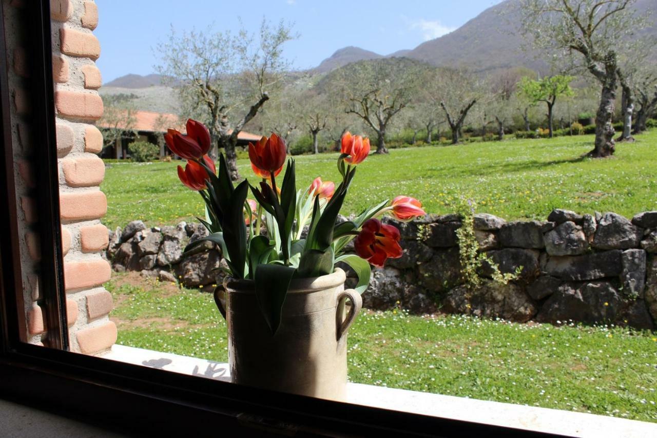 Agriturismo Il Castagneto Padula Luaran gambar