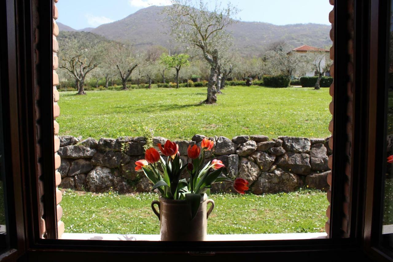Agriturismo Il Castagneto Padula Luaran gambar